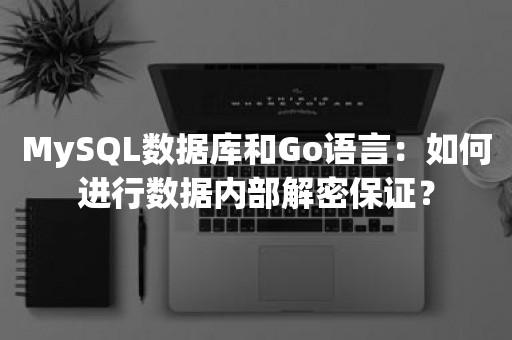 MySQL数据库和Go语言：如何进行数据内部解密保证？