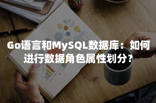 Go语言和MySQL数据库：如何进行数据角色属性划分？