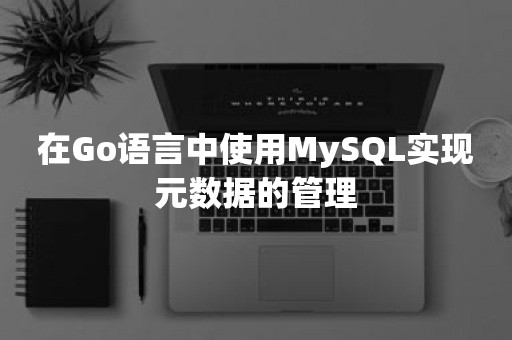 在Go语言中使用MySQL实现元数据的管理