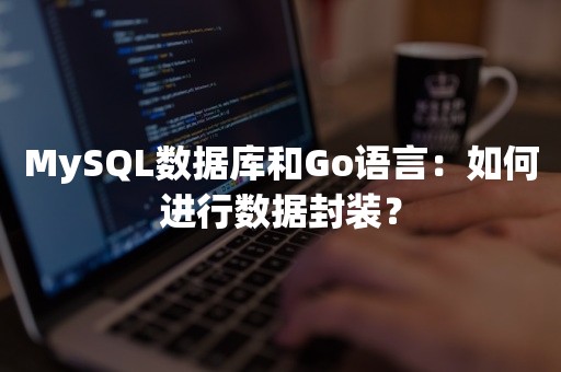 MySQL数据库和Go语言：如何进行数据封装？