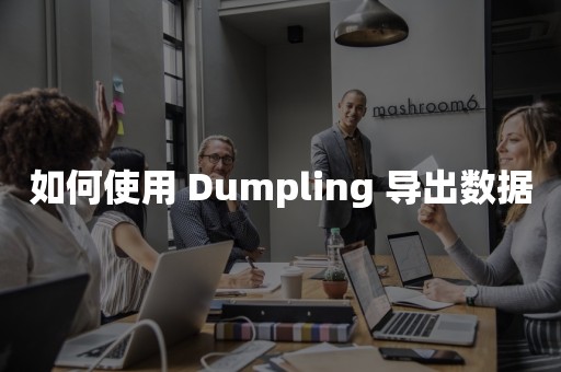 如何使用 Dumpling 导出数据