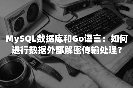 MySQL数据库和Go语言：如何进行数据外部解密传输处理？