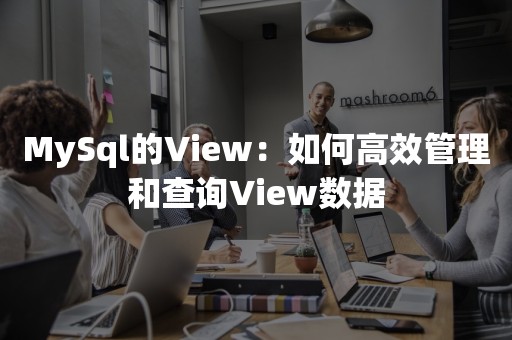 MySql的View：如何高效管理和查询View数据