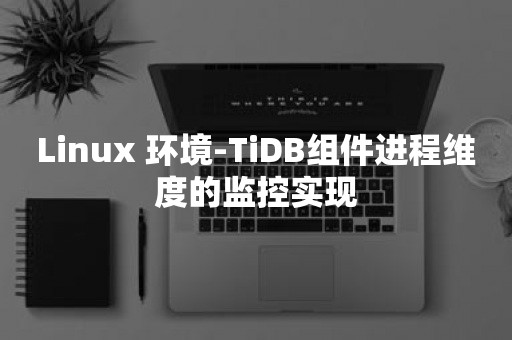 Linux 环境-TiDB组件进程维度的监控实现