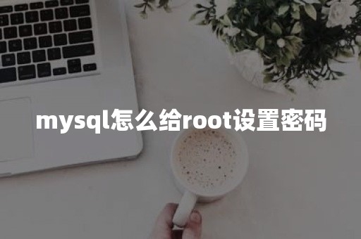 mysql怎么给root设置密码