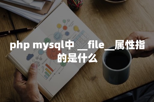 php mysql中 __file__属性指的是什么