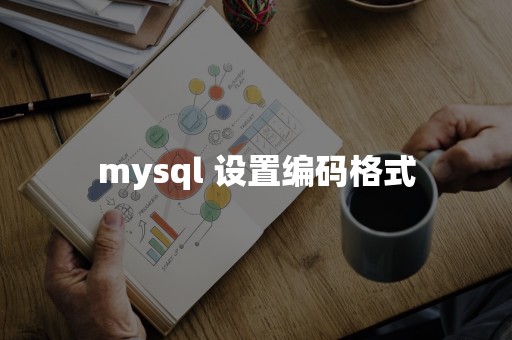 mysql 设置编码格式