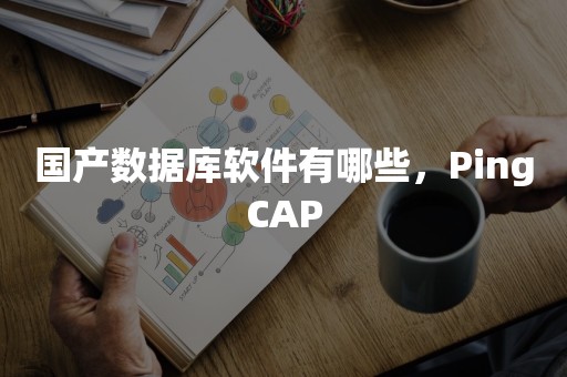 国产数据库软件有哪些，PingCAP