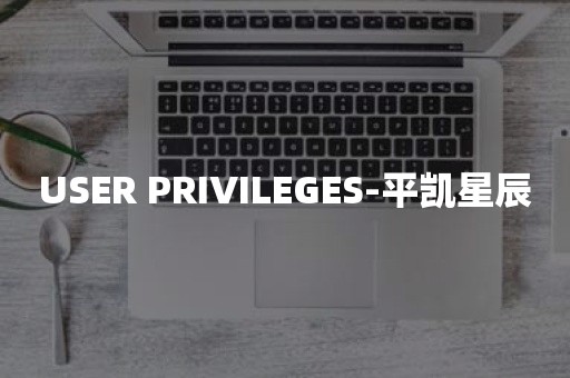 开源数据库USER PRIVILEGES-平凯星辰