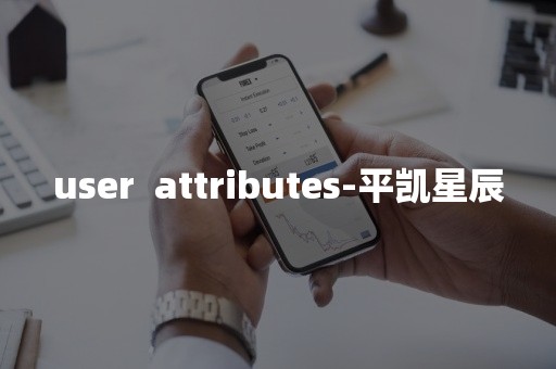 user  attributes-平凯星辰平凯星辰