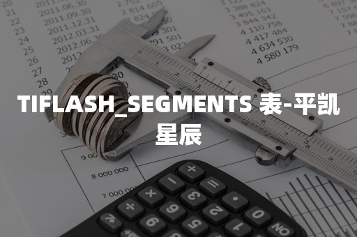 TiDBTIFLASH_SEGMENTS 表-平凯星辰