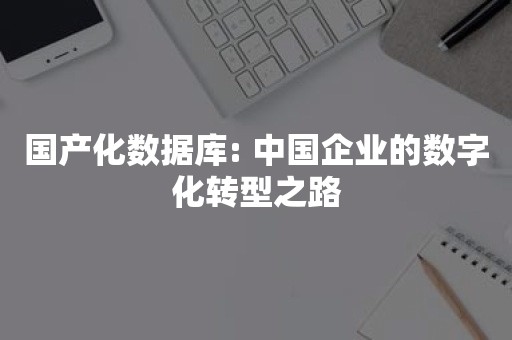 国产化数据库: 中国企业的数字化转型之路