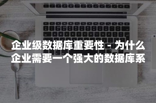 企业级数据库重要性 - 为什么企业需要一个强大的数据库系统？