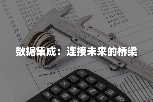 数据集成：连接未来的桥梁