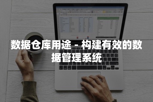 数据仓库用途 - 构建有效的数据管理系统