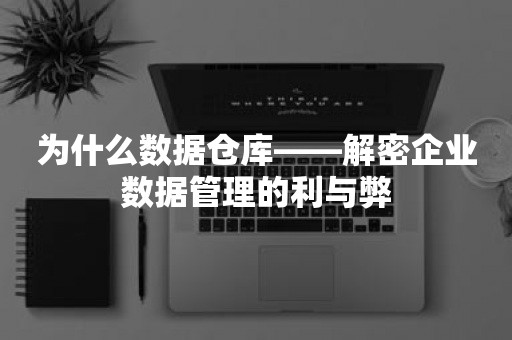 为什么数据仓库——解密企业数据管理的利与弊