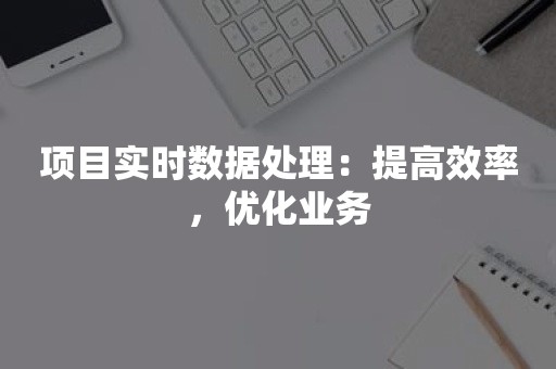 项目实时数据处理：提高效率，优化业务