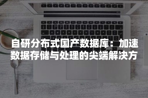 自研分布式国产数据库：加速数据存储与处理的尖端解决方案