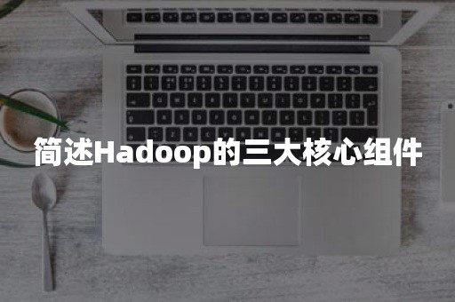 简述Hadoop的三大核心组件