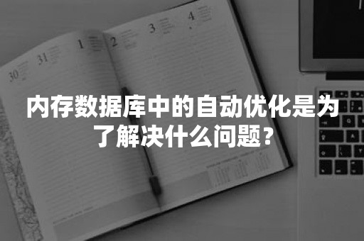 内存数据库中的自动优化是为了解决什么问题？