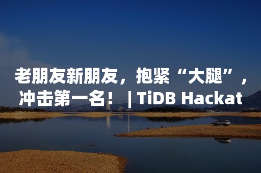 老朋友新朋友，抱紧“大腿”，冲击第一名！ | TiDB Hackathon 选手访谈云原生分布式数据库