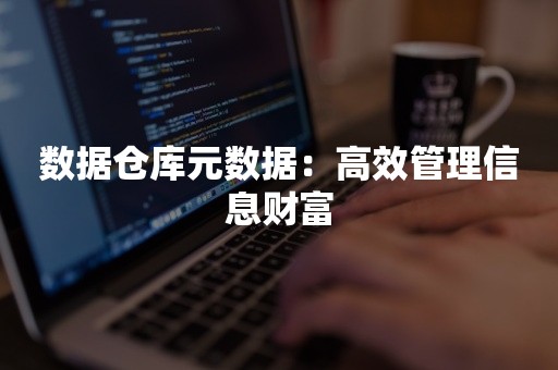 数据仓库元数据：高效管理信息财富